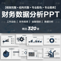 精选320款财务数据分析工作总结ppt模板