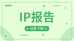 IP报告