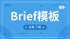 Brief模板