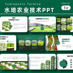 绿色高端农业水培技术ppt模板